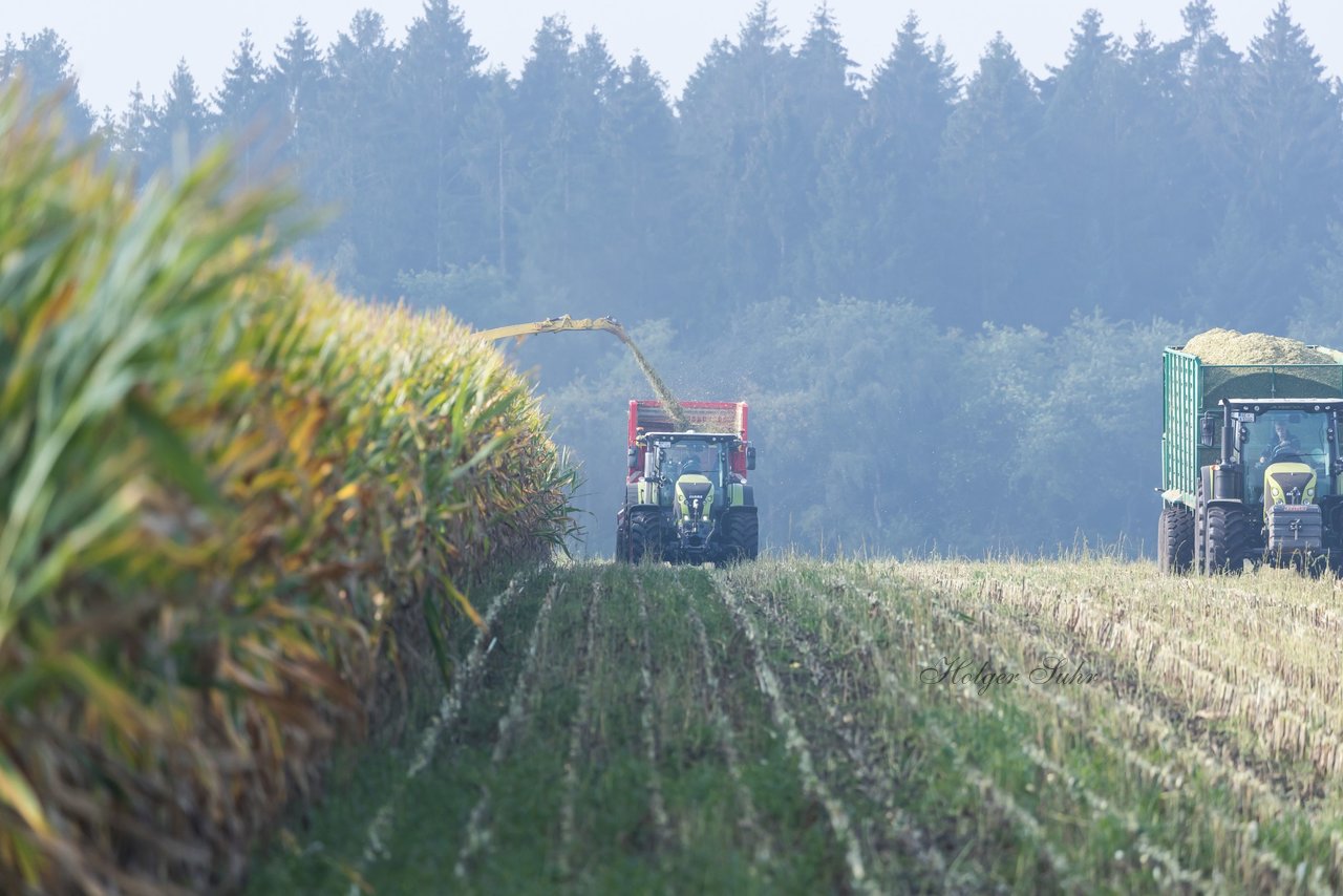 Bild 135 - Maisernte